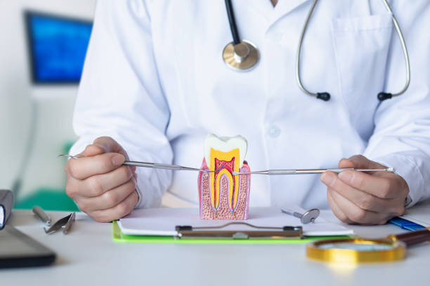 Best Emergency Gum Treatment in Oblong, IL